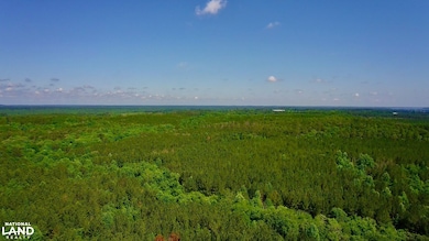 000 Pebble Cove Rd, Abbeville, AL 36310 - photo 7