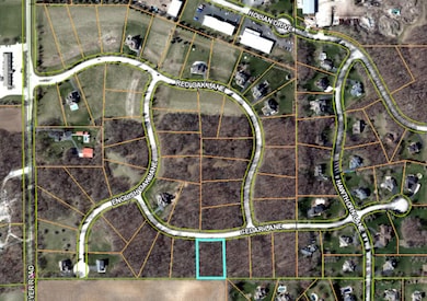 1723 Cedar Ln, Spring Grove, IL 60081 - photo 3