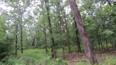 0 Banjo Ln, Broken Bow, OK 74728 - photo 3