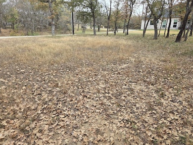 TBD Jim Walter Dr, Runaway Bay, TX 76426 - photo 2