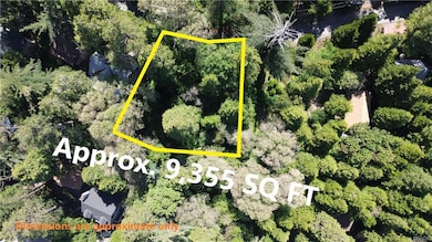 0 Deer unit 32501369, Crestline, CA 92325 - photo 4