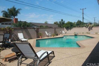 Sparking Pool