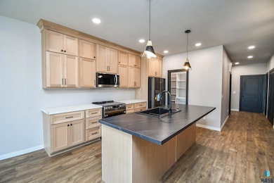 1405 N Alinia Ave, Tea, SD 57064 - photo 7