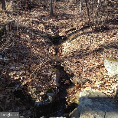 0 Battlefield Rd unit 1002812898, Strasburg, VA 22657 - photo 5