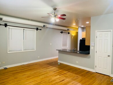 unlisted-address, Chicago, IL 60612 - photo 4