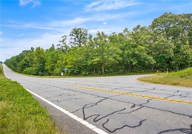 View of asphalt road with a view of trees