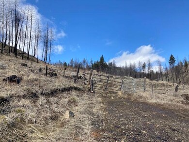 0 Corral Gulch Rd unit 220104153, Canyon City, OR 97820 - photo 5