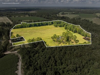 113 Jack C Lindsey Rd, Lenox, GA 31637 - photo 6