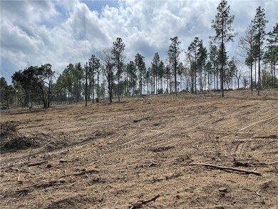 1669 Lawrence Rd, Bonifay, FL 32425 - photo 2