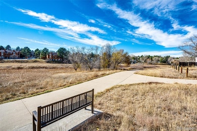 3916 S Telluride Ct, Aurora, CO 80013 - photo 4