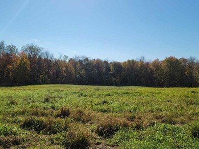 541 Locust Grove Rd, Greenfld Ctr, NY 12833 - photo 2