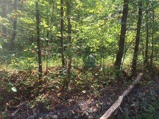 525 Cold Cave Rd, Wellington, KY 40387 - photo 2