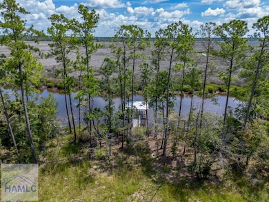 0 La Mare Ln unit 161537, Waverly, GA 31565 - photo 7