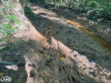 00 N Hwy 150, Pacolet, SC 29372 - photo 5