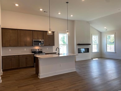 Kitchen with appliances with stainless steel finishes, a sink, tasteful backsplash, lofted ceiling, and dark wood-style floors