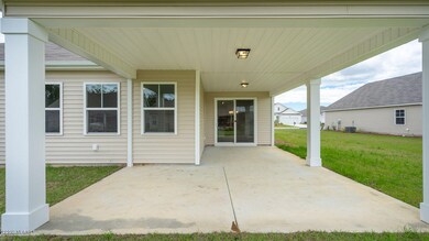 459 Cornflower - Lot 591-05