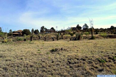 xx W Howell St, Silver City, NM 88061 - photo 5