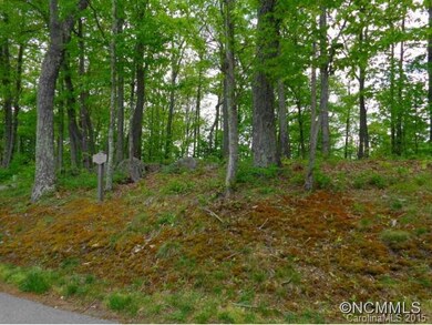 34 Heritage Ridge Rd, Burnsville, NC 28714 - photo 3