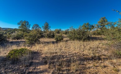 Grassy Area with Vegetation