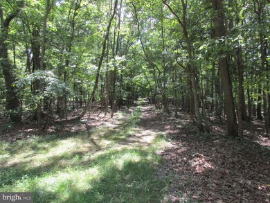 0 Tabor Rd unit 1000202295, Berkeley Springs, WV 25411 - photo 6