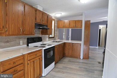 223 Shirkey Ln, Mathias, WV 26812 - photo 6