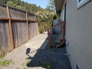 back yard