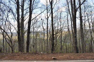 8259 Cox Mountain Dr, Big Canoe, GA 30143 - photo 5