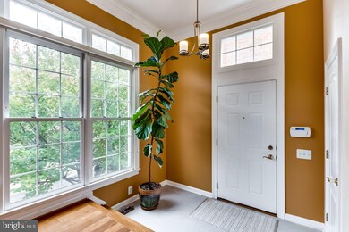 4666 Kell Ln, Alexandria, VA 22311 - photo 5