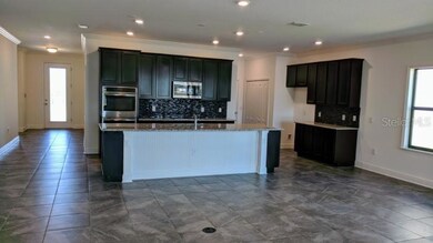 14324 Fissore Blvd, Wimauma, FL 33598 - photo 3