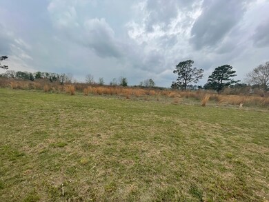 13442 Georgia 45, Arlington, GA 39813 - photo 5