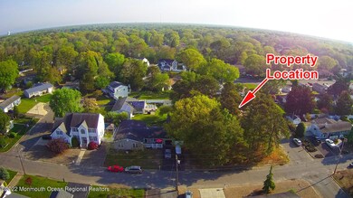 312 Pine Forest (3)