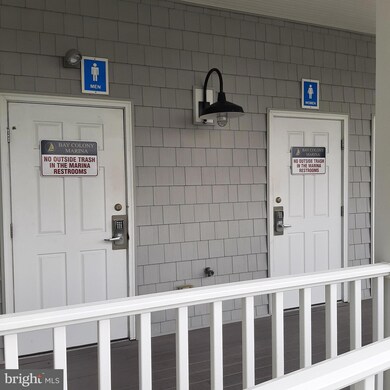 29664 Colony Dr unit F-20, Dagsboro, DE 19939 - photo 5