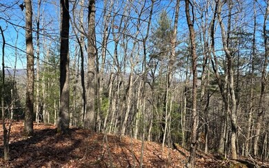 Additional View