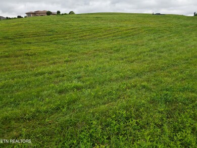 DJI_0174