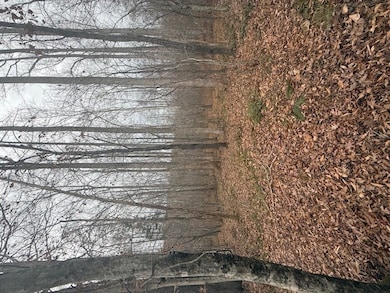 0 Paradise Rd unit 58029, Farmville, VA 23901 - photo 5