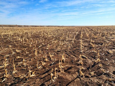 Road 33w, Bushnell, NE 69145 - photo 6