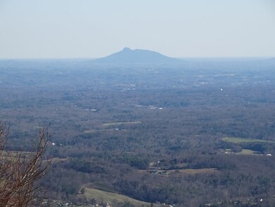 TBD Saint Moritz Dr, Fancy Gap, VA 24328 - photo 5