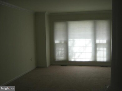 9536 Meadows Farms Dr, Owings Mills, MD 21117 - photo 4