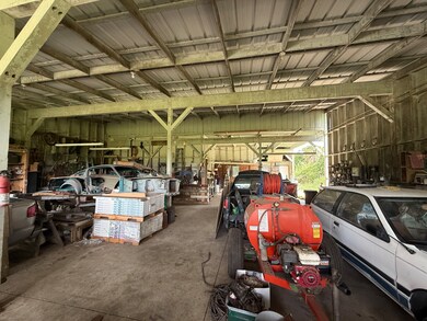 880 Ainalako Rd, Hilo, HI 96720 - photo 5