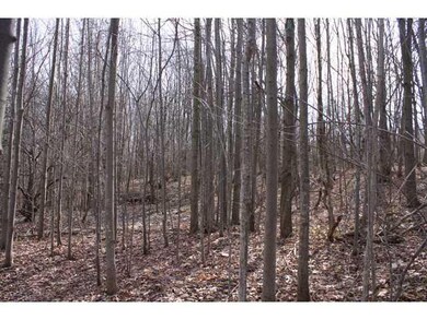 Land/Lot