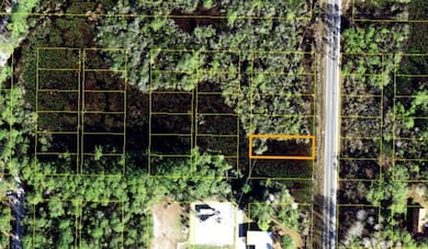 1303 Tallahassee St, Carrabelle, FL 32322 - photo 3