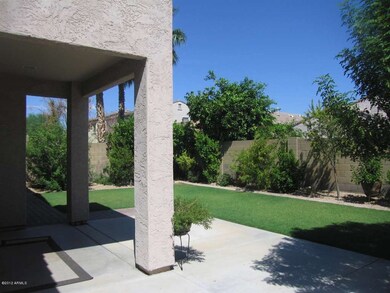 Backyard 1