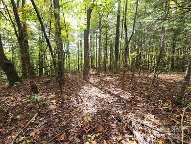 99999 N Pointe Dr unit 5 and 30, Zirconia, NC 28790 - photo 3