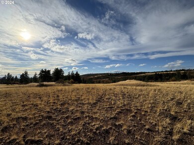 0 Jensen Quarry Rd unit 458778571, Bickleton, WA 99322 - photo 5
