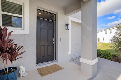 194 Mangrove Shade Cir, Apollo Beach, FL 33572 - photo 3