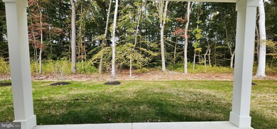 1017 Shannon Falls Dr, Newark, DE 19702 - photo 4