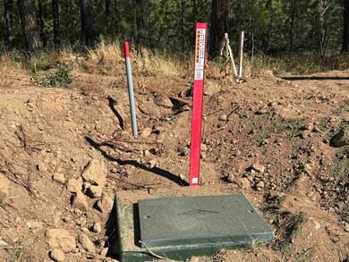 610 N A St unit Lot 2, Springdale, WA 99173 - photo 3