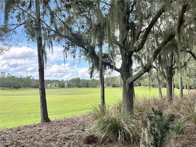 17127 Etruscan Ln, Bella Collina, FL 34756 - photo 7