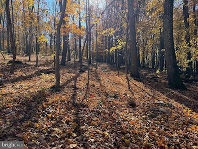 0 Digging Bear Ln unit VALO2111584, Purcellville, VA 20132 - photo 2