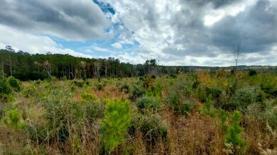 000 Private Road 6150, Woodville, TX 75979 - photo 2